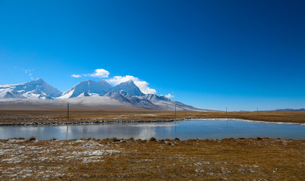 雪山下的湿地