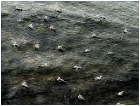 海鷗 大海 油畫(huà)