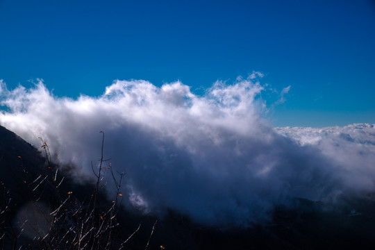 高山云海