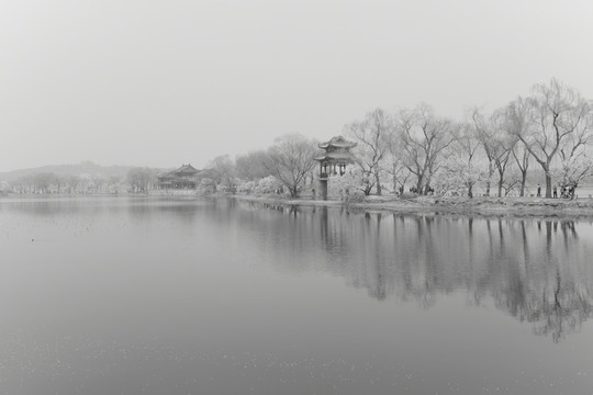 北京春色