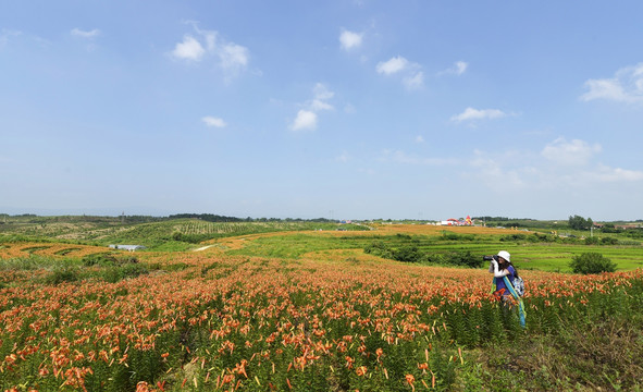 百合花庄园的开心游客