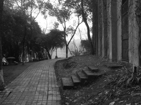 重庆沙区公园老照片