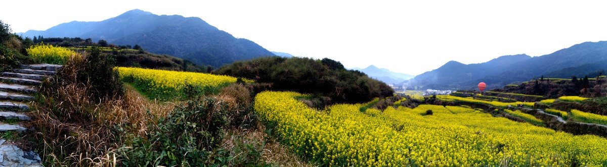 田野风光