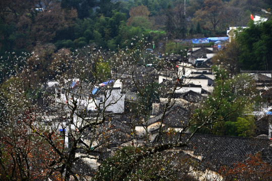 塔川村