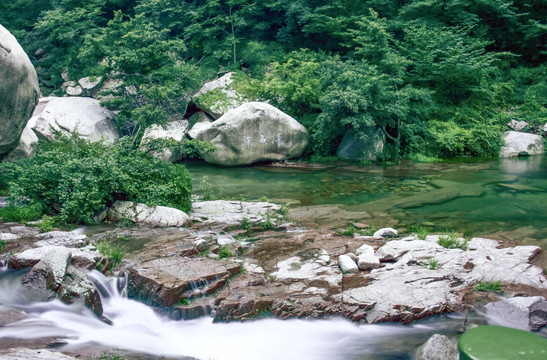 崂山仙境 绿色背景 绿树林