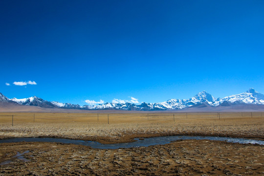 雪山下的湿地