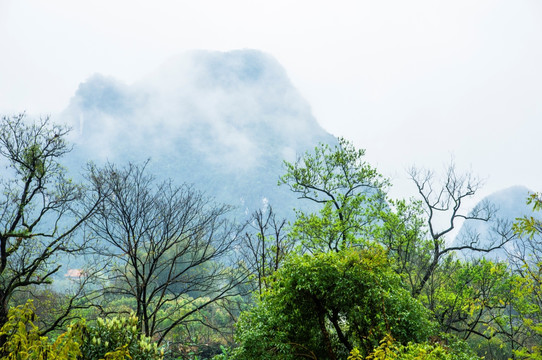 雾色山景