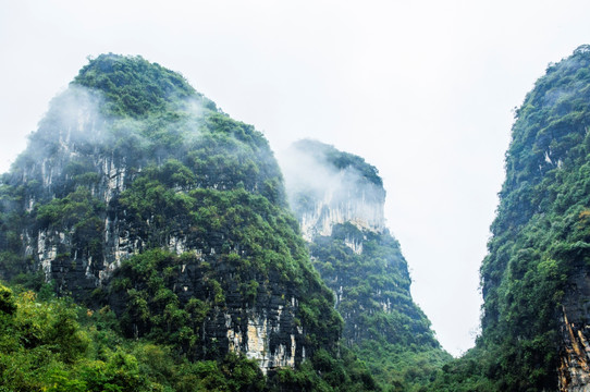 雾色山景