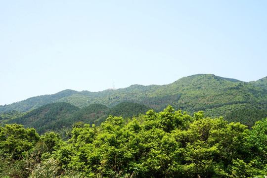 山 高山丘壑