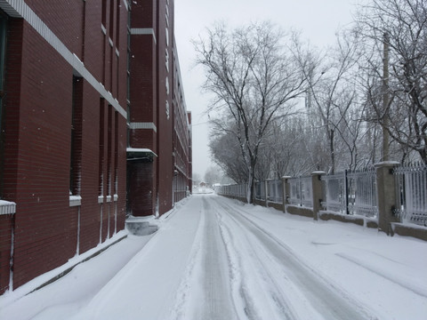 沈阳大雪雪后