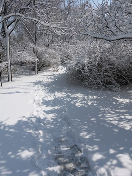 沈阳大雪雪后路