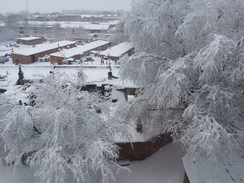 沈阳大雪城郊建筑