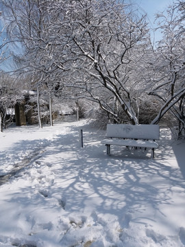 沈陽大雪凳子