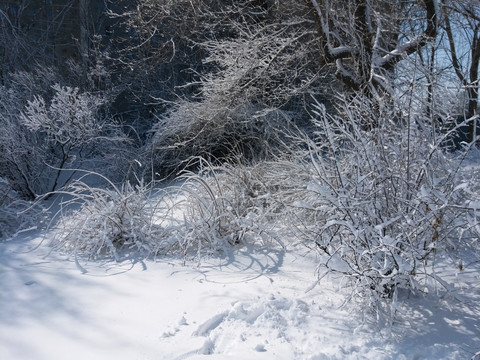 沈阳大雪冬天