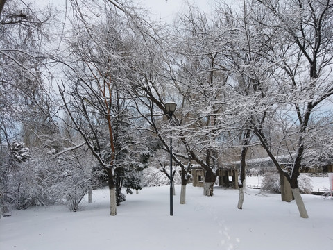 沈阳大雪公园路灯