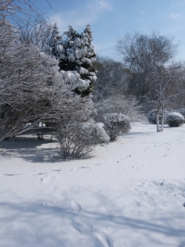 沈陽大雪天空