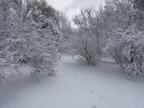 沈阳大雪园内小路