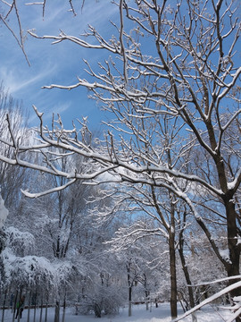 沈阳大雪之园内