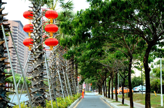 三亚春节街道