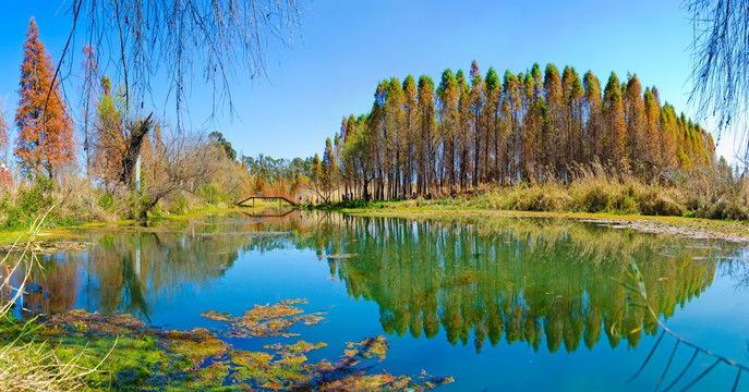 东大河湿地