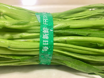 一把空心菜 新鲜蔬菜