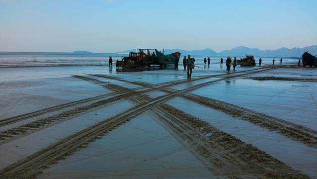 南海捕鱼 海边劳作