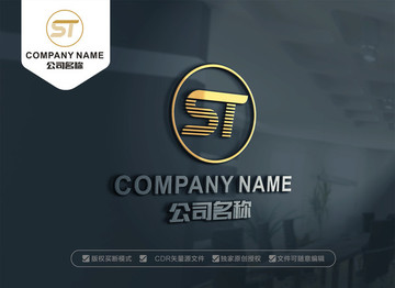 ST字母LOGO设计 TS标志