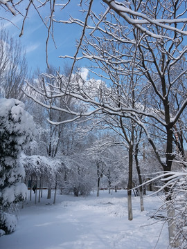 沈阳大雪公园内景