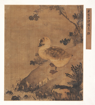 宋 崔白 沙渚鳧雛圖