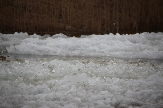 早春 冰雪融化 残冰 湿地