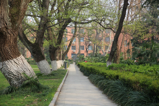 中国科技大学东校区