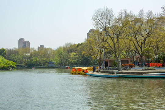 上海長風公園