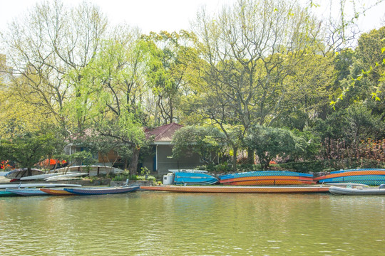 上海長風公園