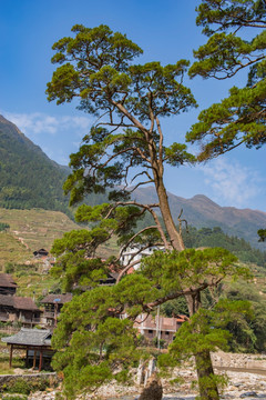 大山下的乡村