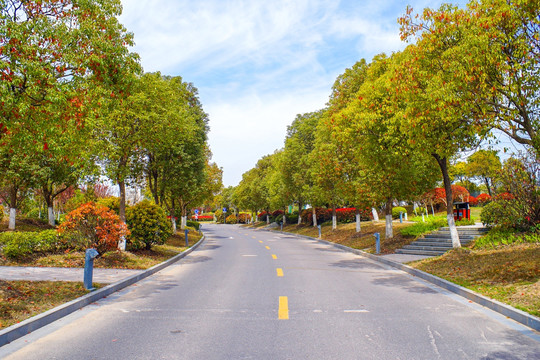 滴水湖道路