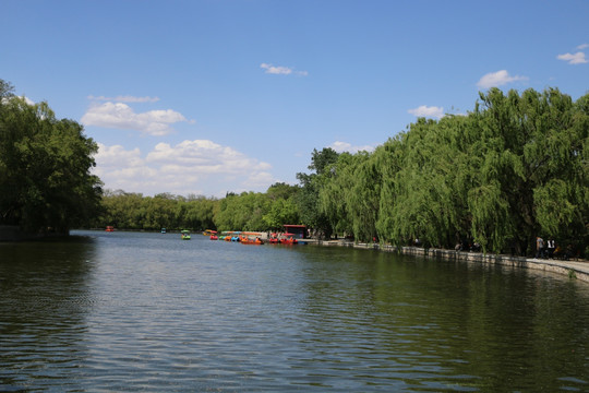 沈阳北陵公园湖面风景