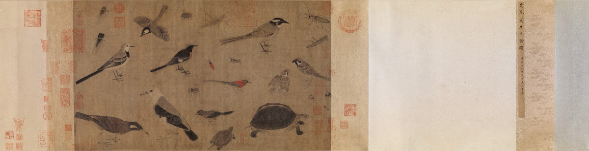 五代 黃筌 寫生珍禽圖