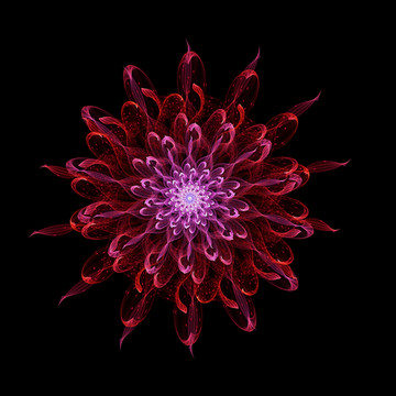絢麗花紋