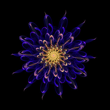 絢麗花紋