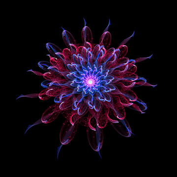 絢麗花紋