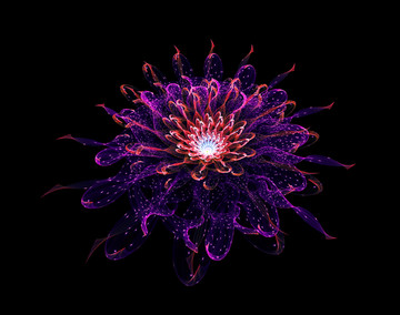 絢麗花紋