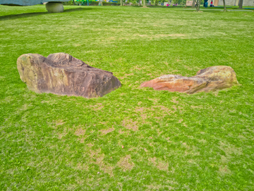 公园素材 石头 绿草地