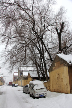 冬雪村庄