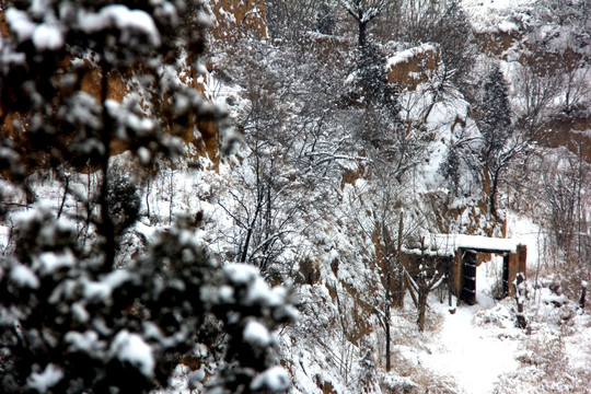 雪景