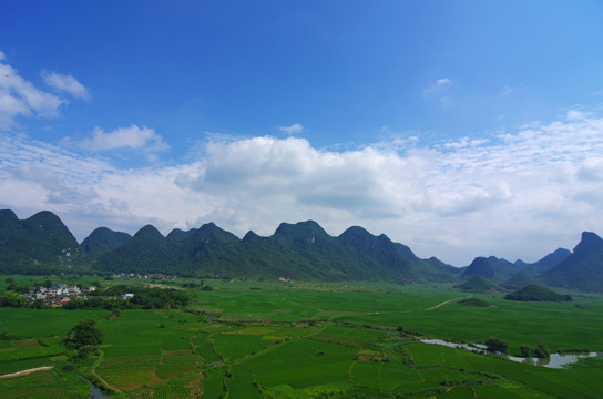 绿色风景