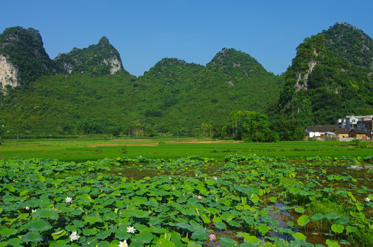 山水