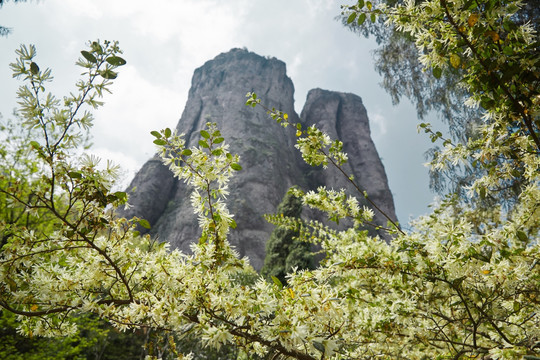 西漈景区