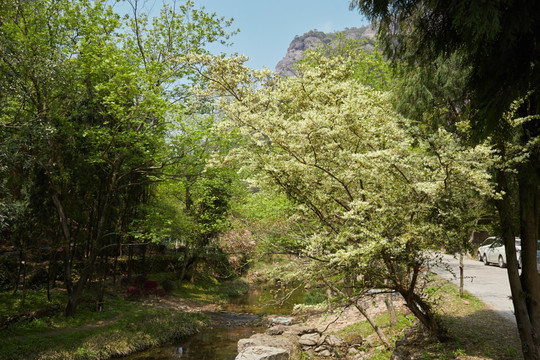 西漈景区