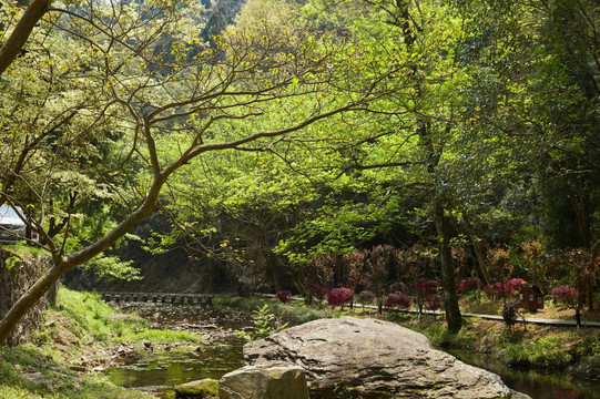 西漈景区