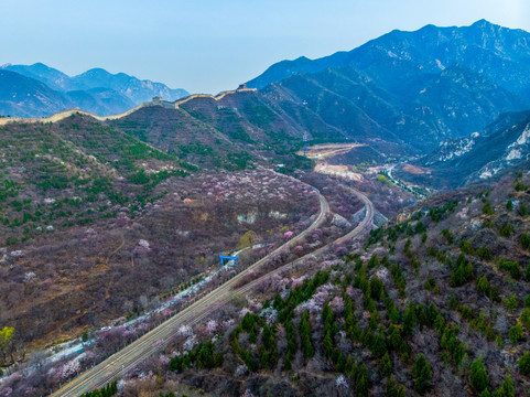 花海列车